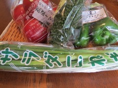サラダこねぎ.jpg